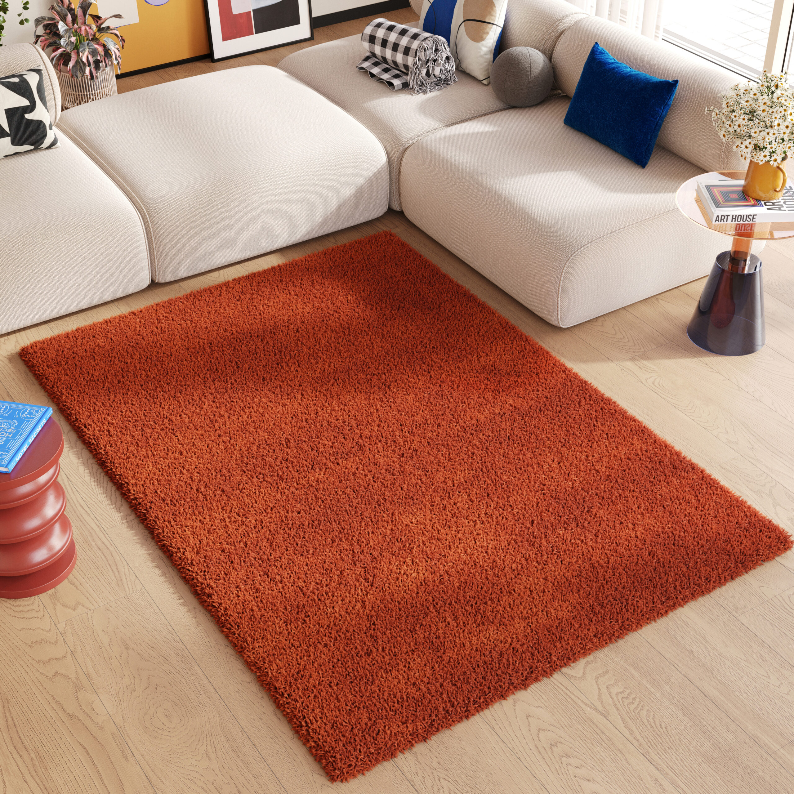 Area Rug Essence Shaggy Plain Terracotta