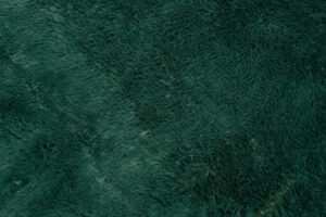 Area Rug Silk Anti-slip Shaggy Dark Green