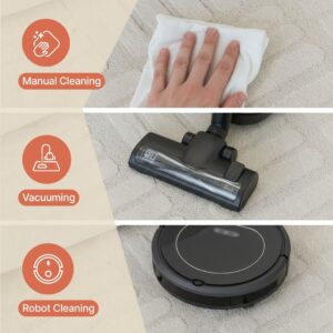 Area Rug Cream Palm Leaves