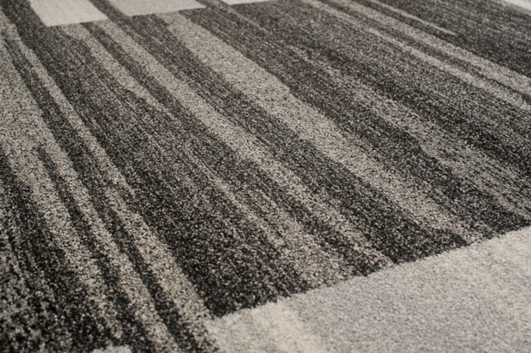 Area Rug Sari Anthracite Beige Frame