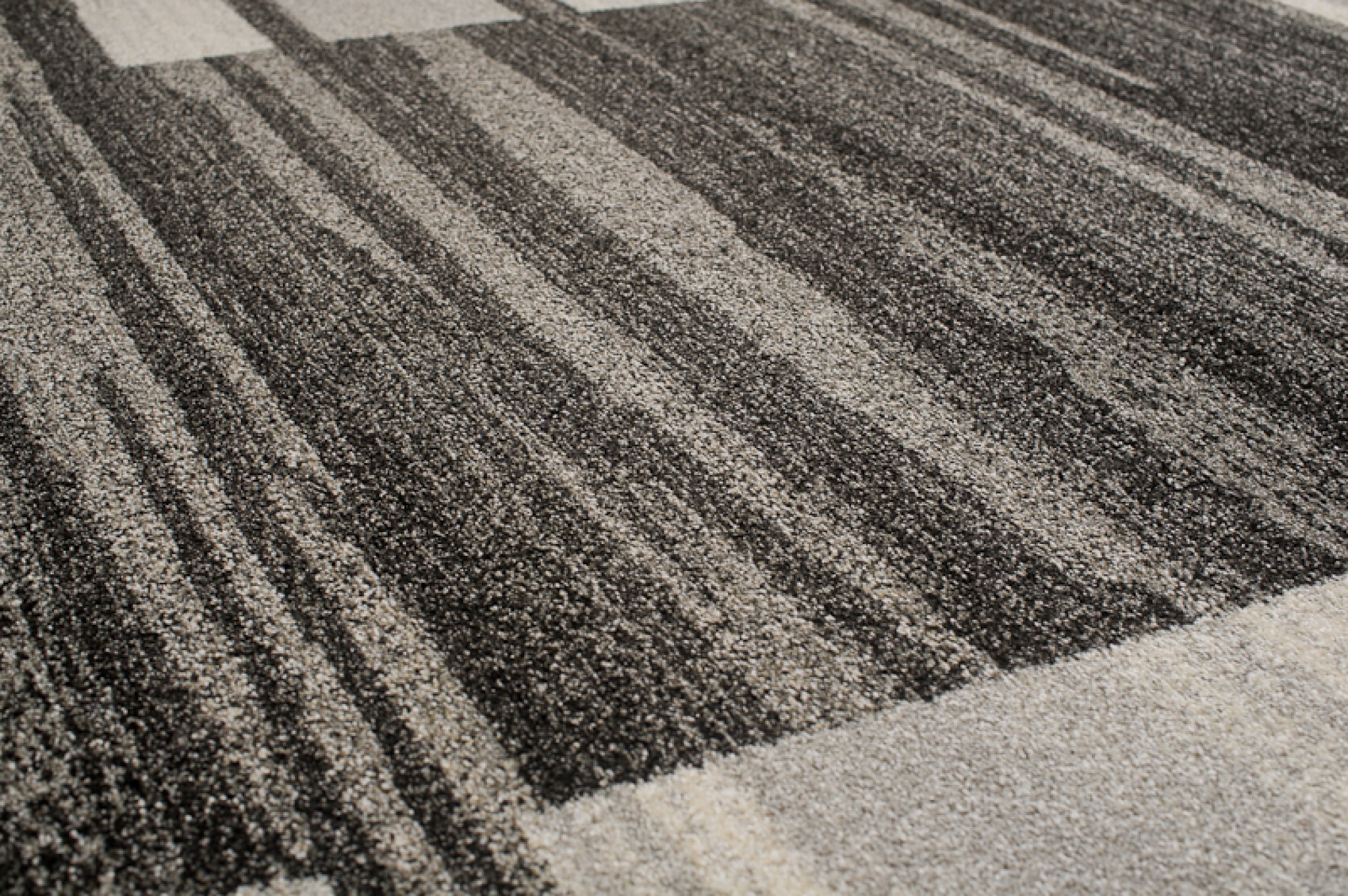 Area Rug Sari Anthracite Beige Frame