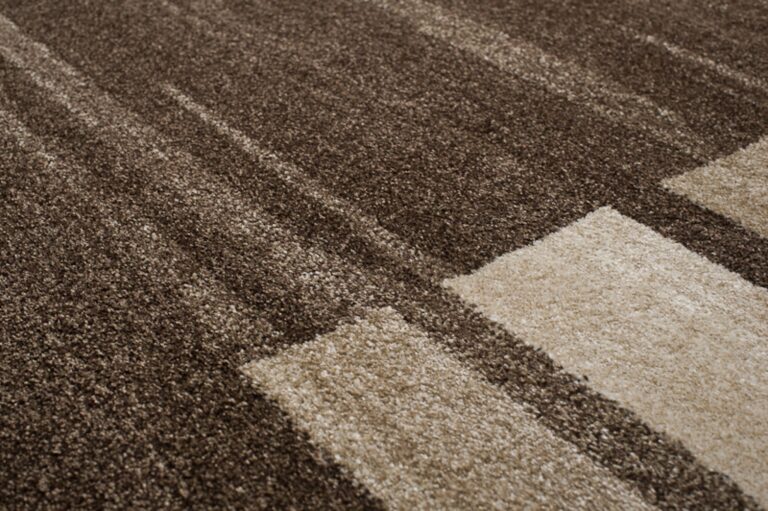 Area Rug Sari Brown Frame