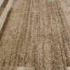 Area Rug Sari Dark Beige Frame