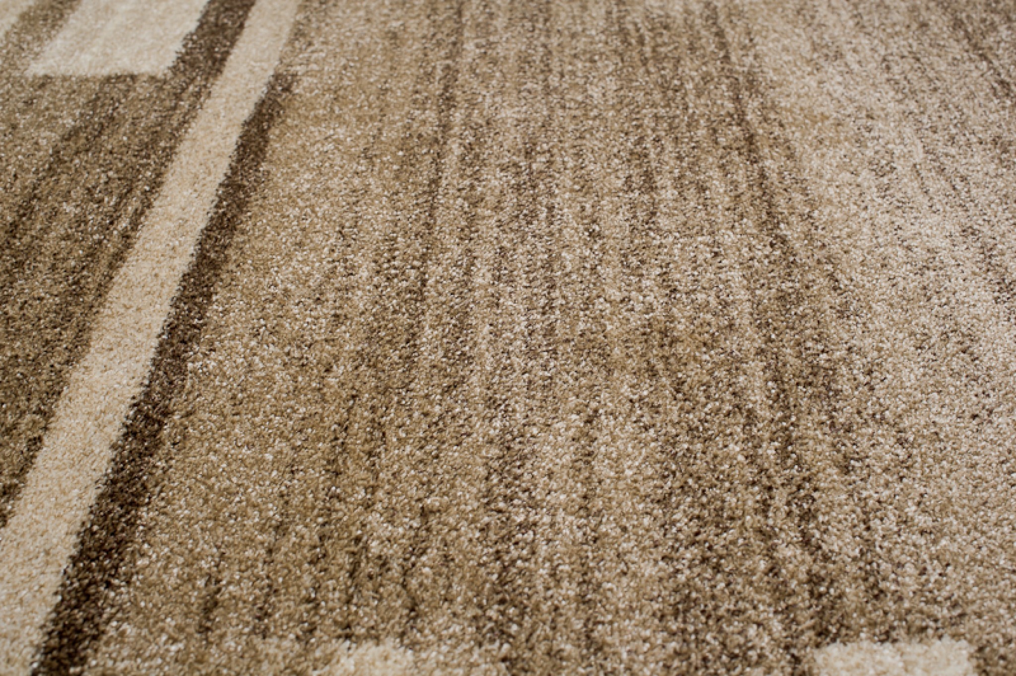 Area Rug Sari Dark Beige Frame