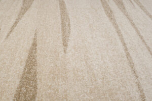 Area Rug Sari Beige Striped