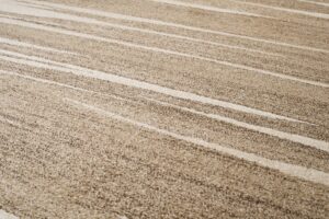 Area Rug Sari Dark Beige Striped