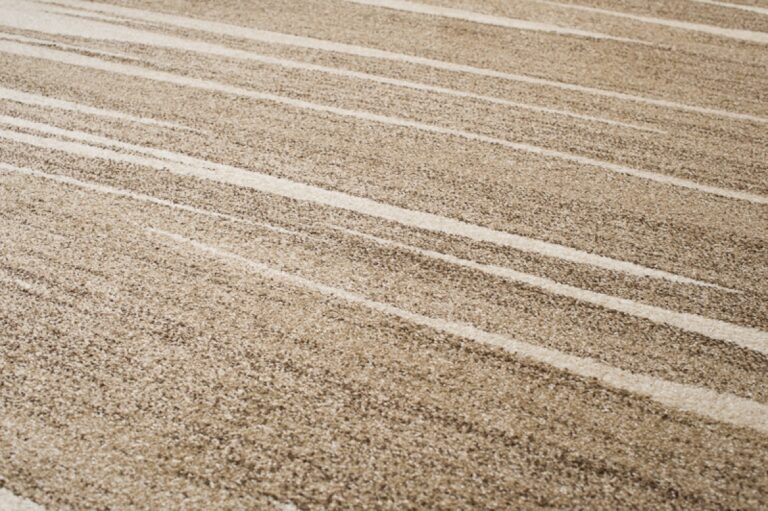 Area Rug Sari Dark Beige Striped