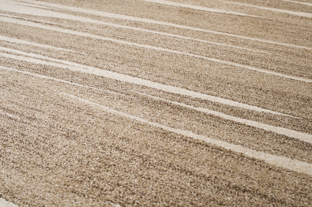 Area Rug Sari Dark Beige Striped