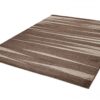 Area Rug Sari Brown Beige Striped