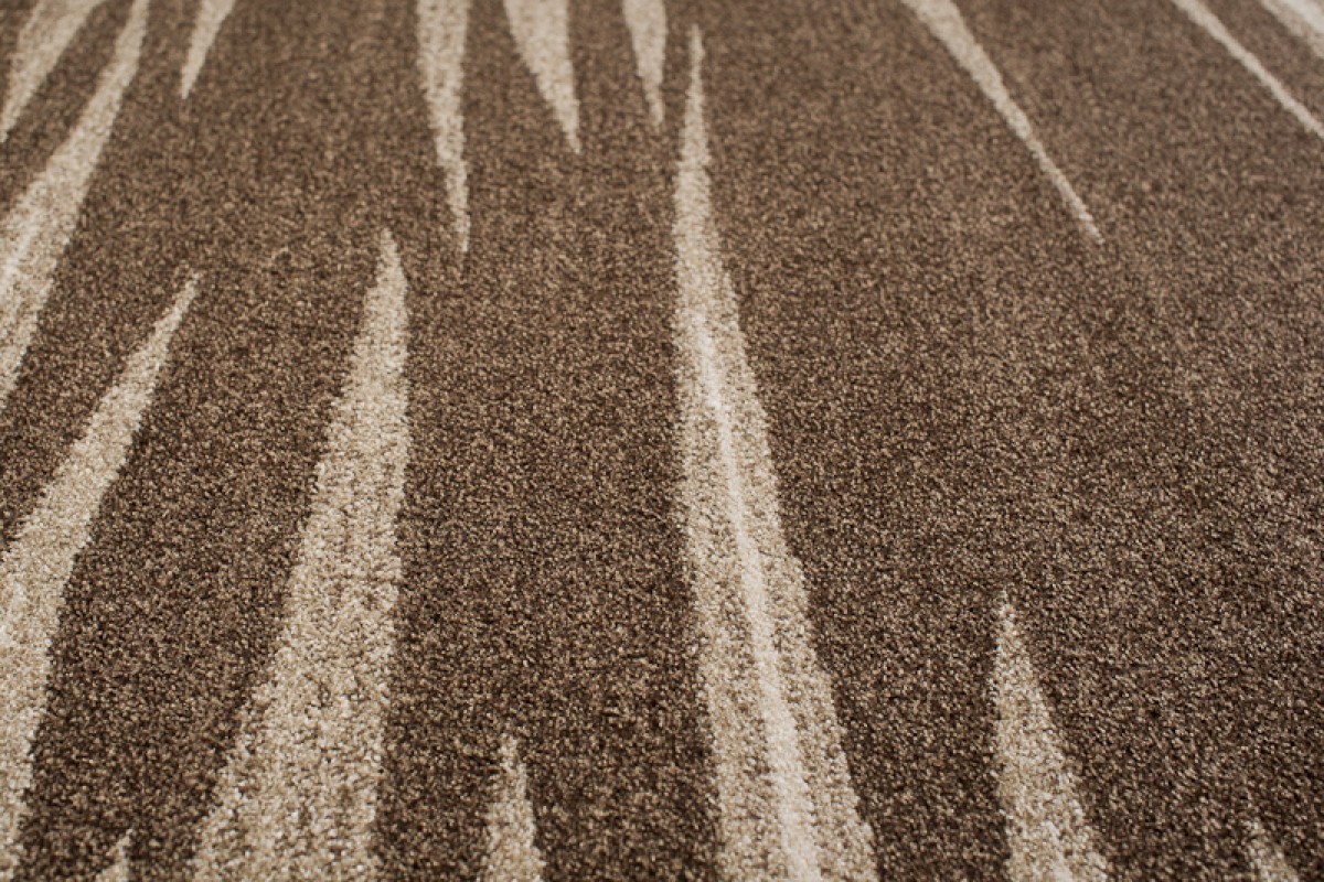 Area Rug Sari Brown Beige Striped