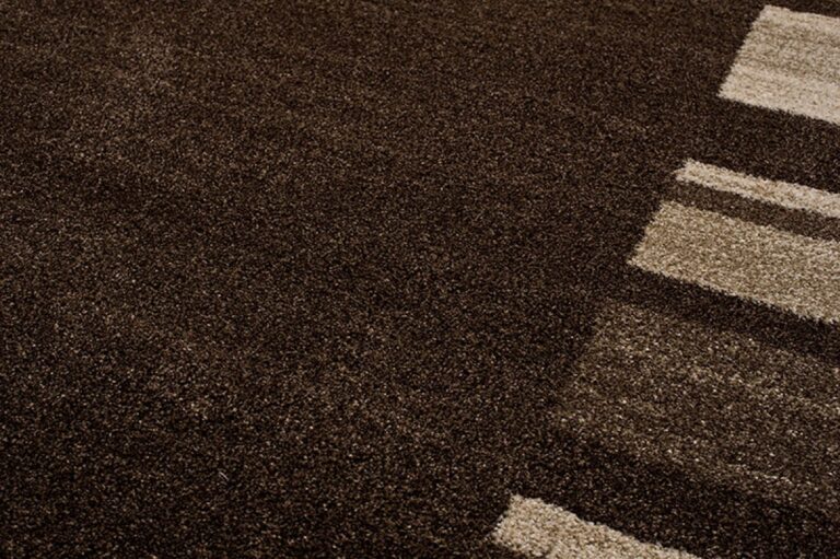 Area Rug Sari Dark Brown Frame