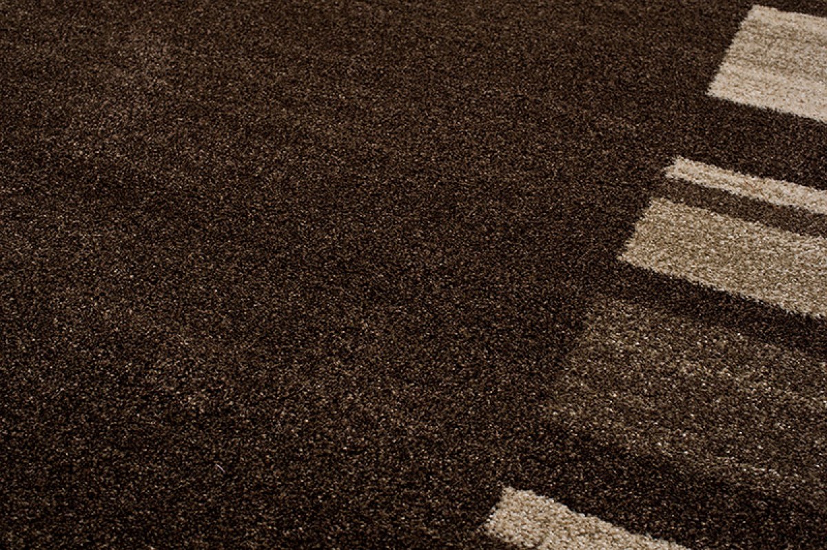 Area Rug Sari Dark Brown Frame