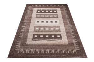 Area Rug Sari Brown Ethnic Frame