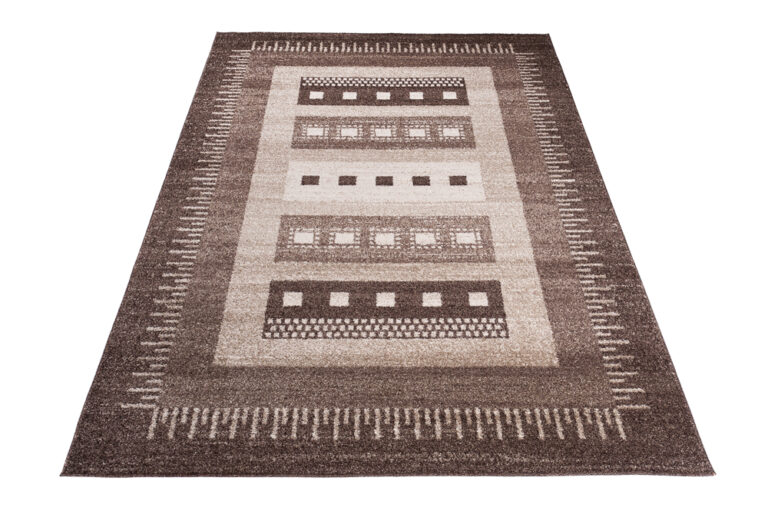 Area Rug Sari Brown Ethnic Frame