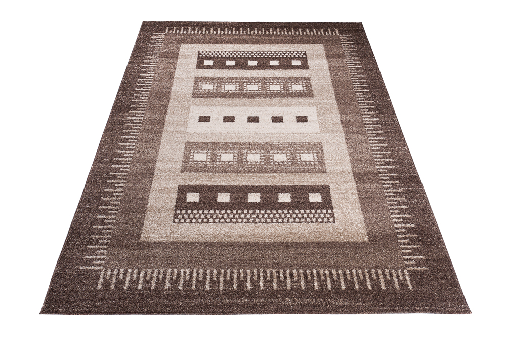 Area Rug Sari Brown Ethnic Frame