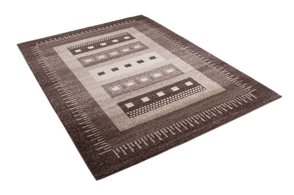 Area Rug Sari Brown Ethnic Frame