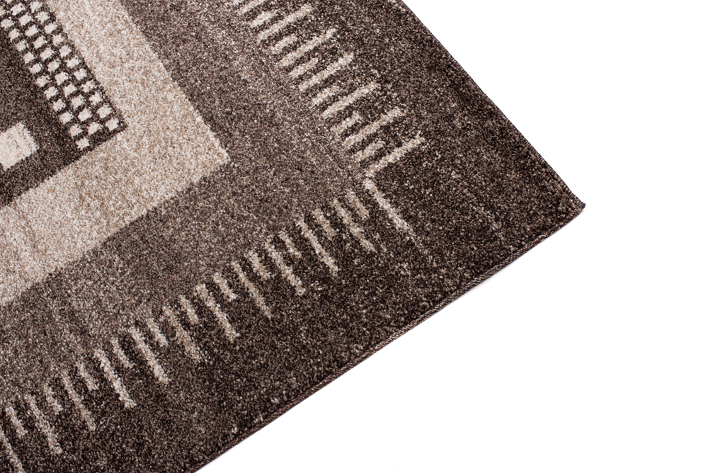 Area Rug Sari Brown Ethnic Frame