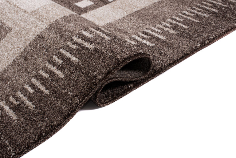 Area Rug Sari Brown Ethnic Frame