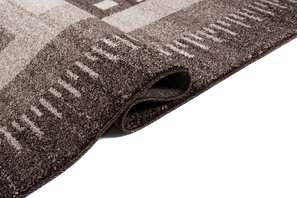 Area Rug Sari Brown Ethnic Frame