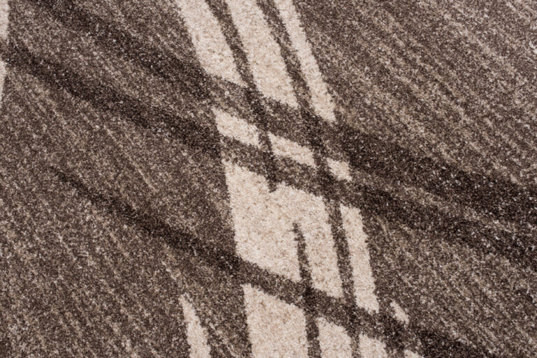 Area Rug Sari Light Brown Striped