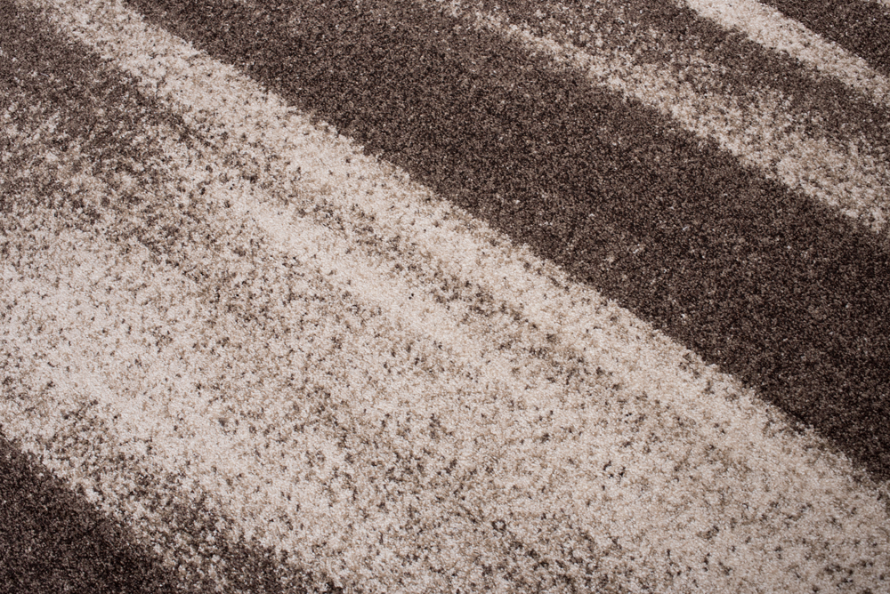 Area Rug Sari Light Brown Abstract