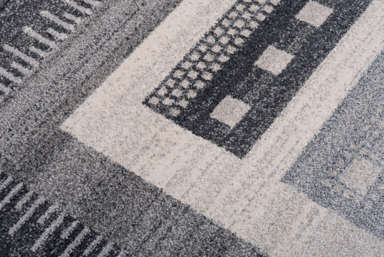 Area Rug Sari Grey Ethnic Frame