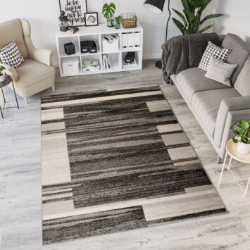 Area Rug Sari Anthracite Beige Frame