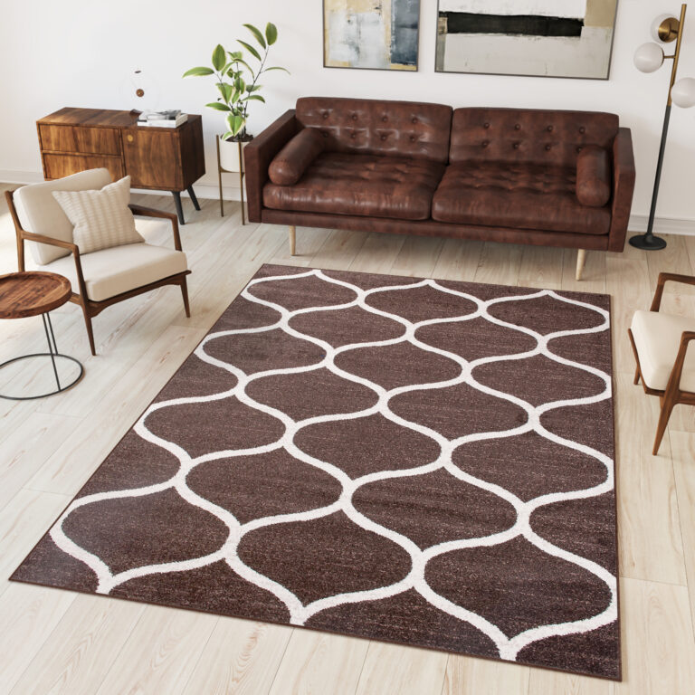 Area Rug Sari Brown Trellis