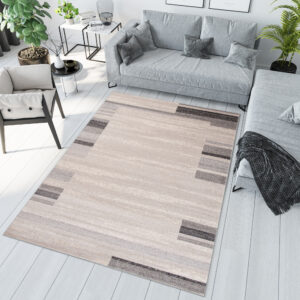 Area Rug Sari Light Beige Grey Frame