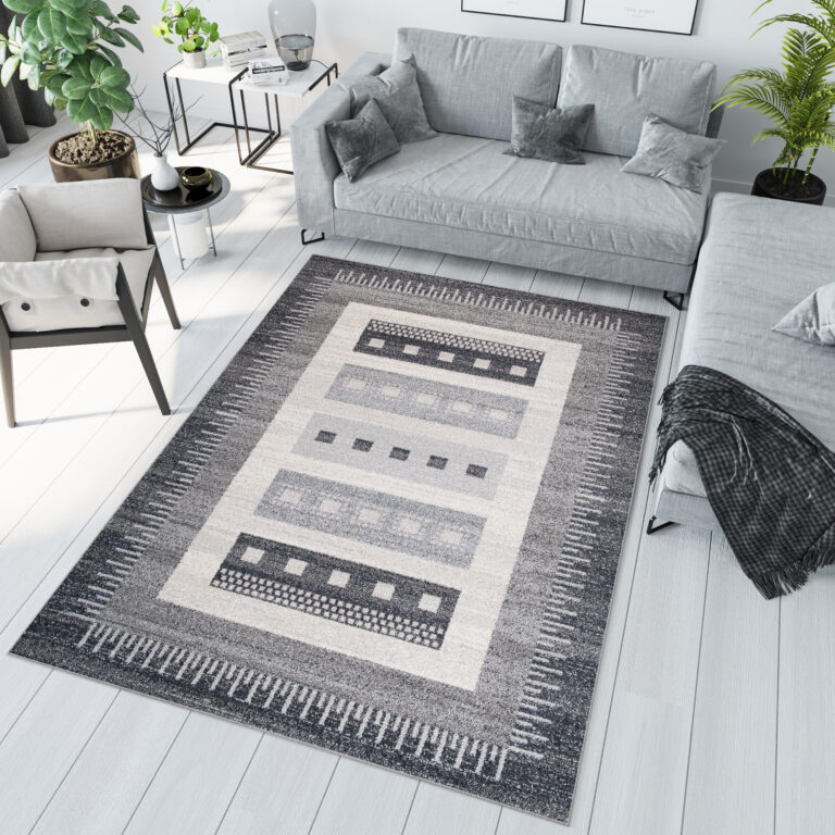 Area Rug Sari Grey Ethnic Frame