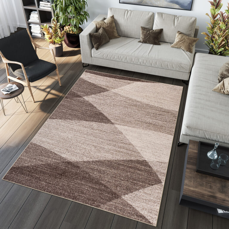 Area Rug Sari Brown Beige Geometric
