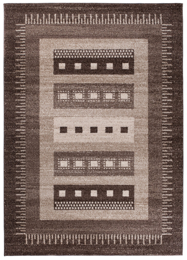 Area Rug Sari Brown Ethnic Frame
