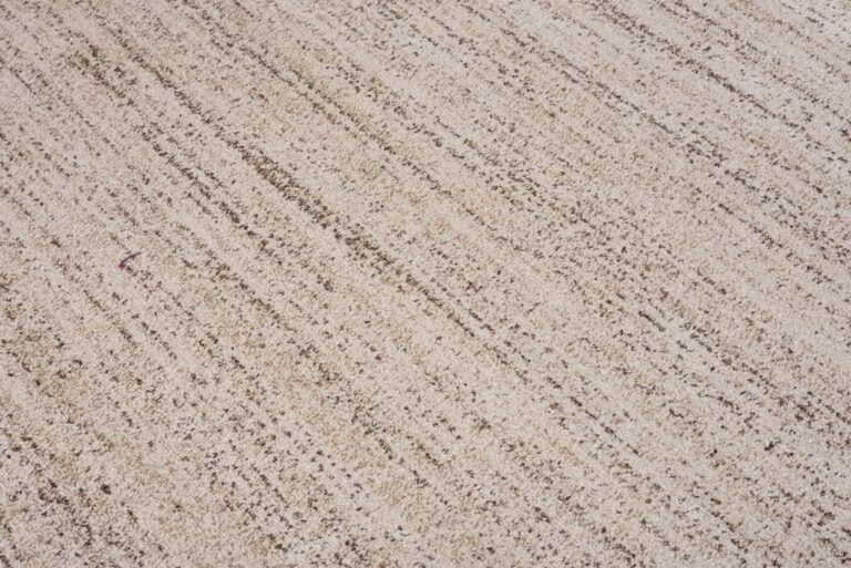 Area Rug Sari Cream Melange