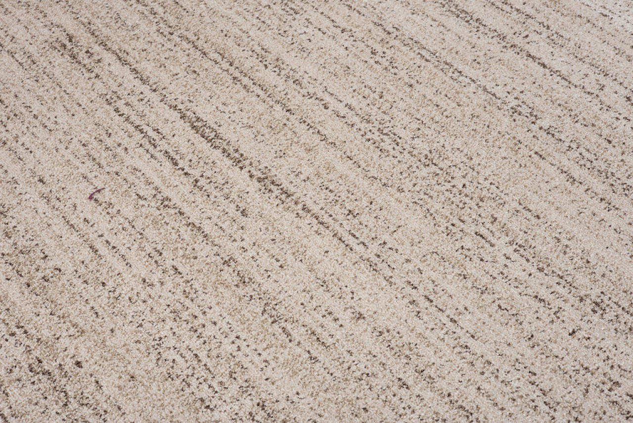 Area Rug Sari Cream Melange