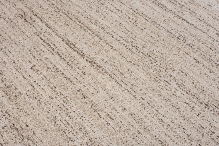 Area Rug Sari with Fringes Dark Cream