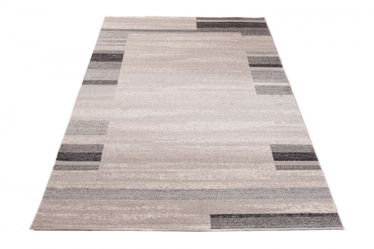 Area Rug Sari Light Beige Grey Frame