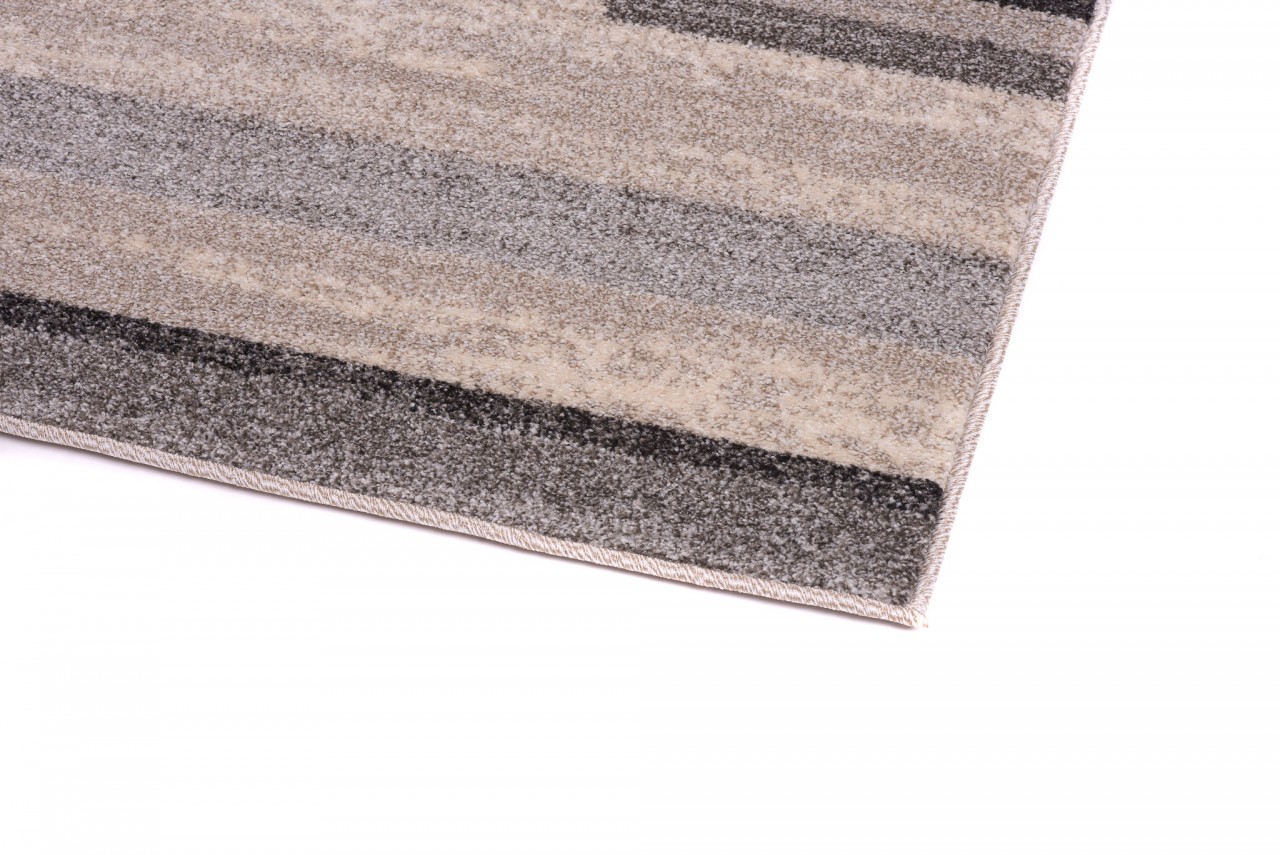Area Rug Sari Light Beige Grey Frame