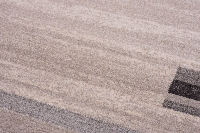 Area Rug Sari Light Beige Grey Frame