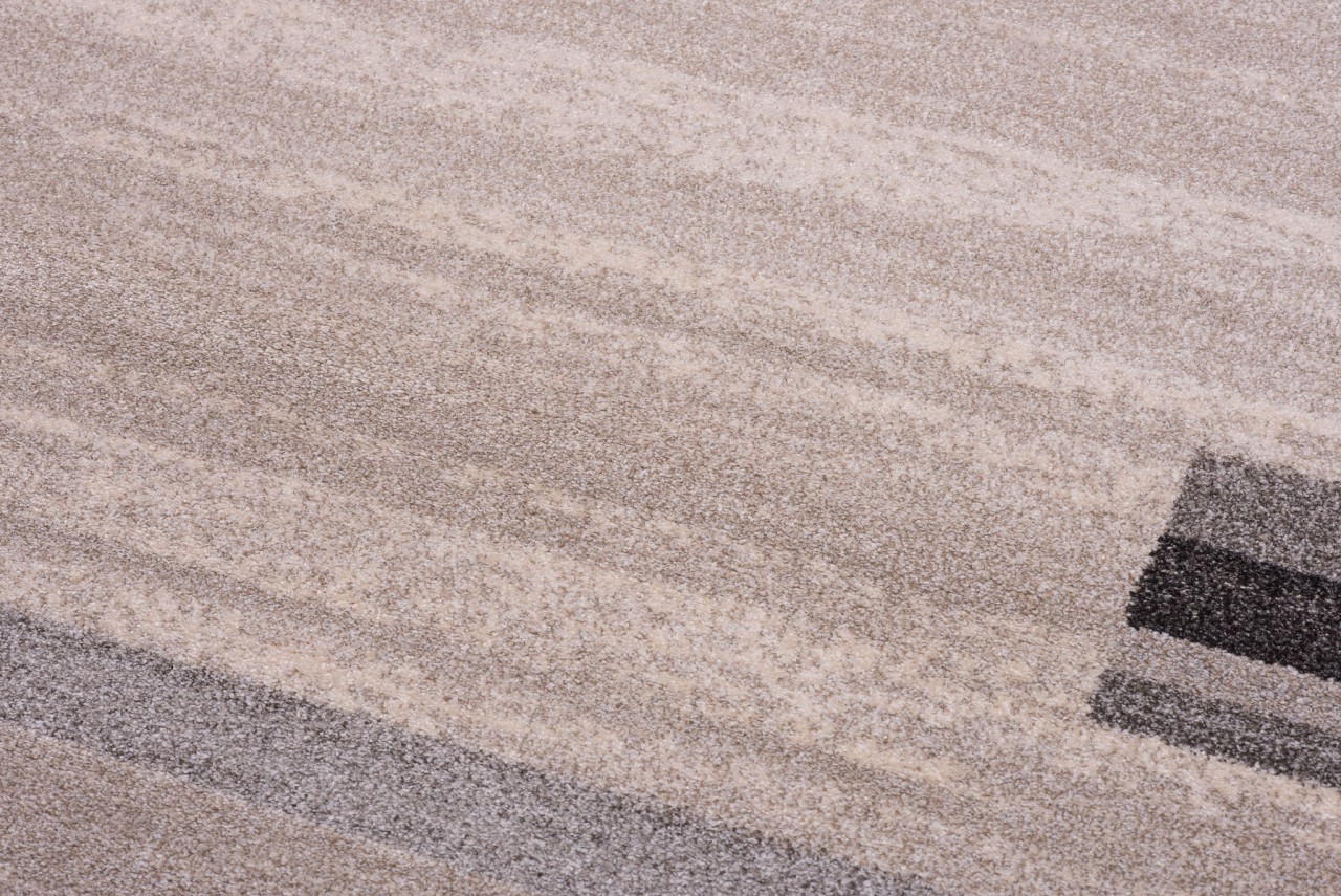 Area Rug Sari Light Beige Grey Frame