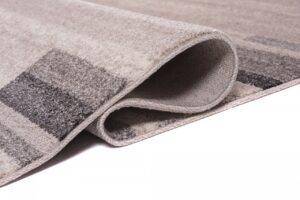 Area Rug Sari Light Beige Grey Frame