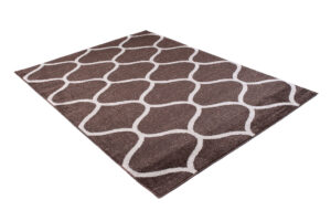 Area Rug Sari Brown Trellis