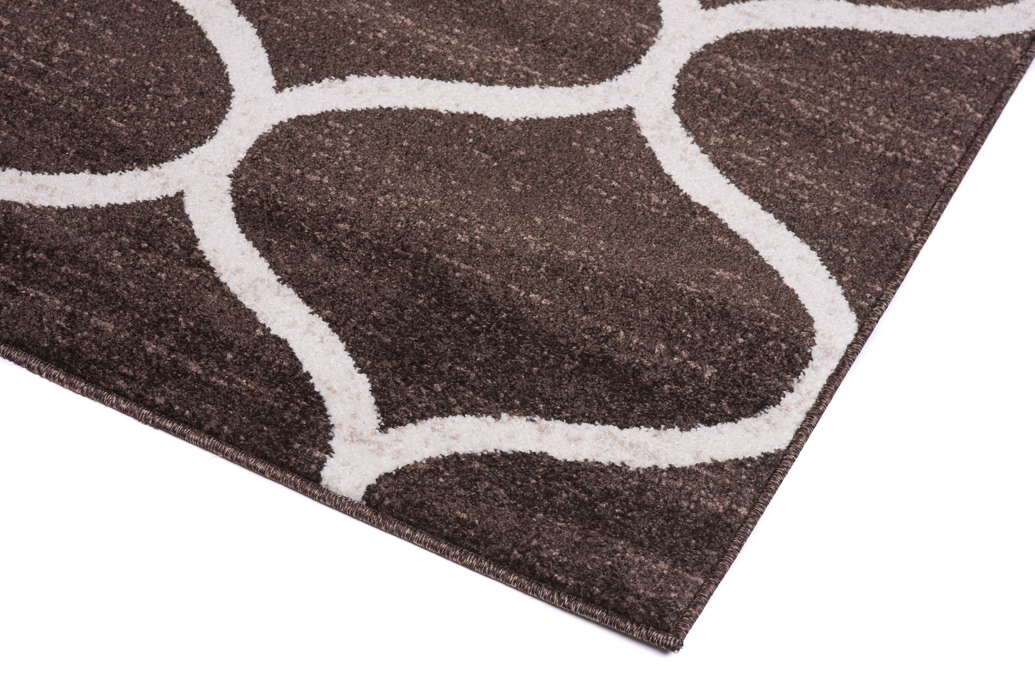 Area Rug Sari Brown Trellis