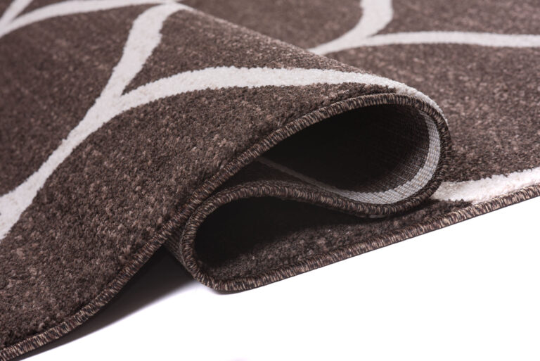 Area Rug Sari Brown Trellis