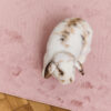 Area Rug Lumi Square Pink Non-Slip