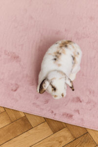 Area Rug Lumi Square Pink Non-Slip