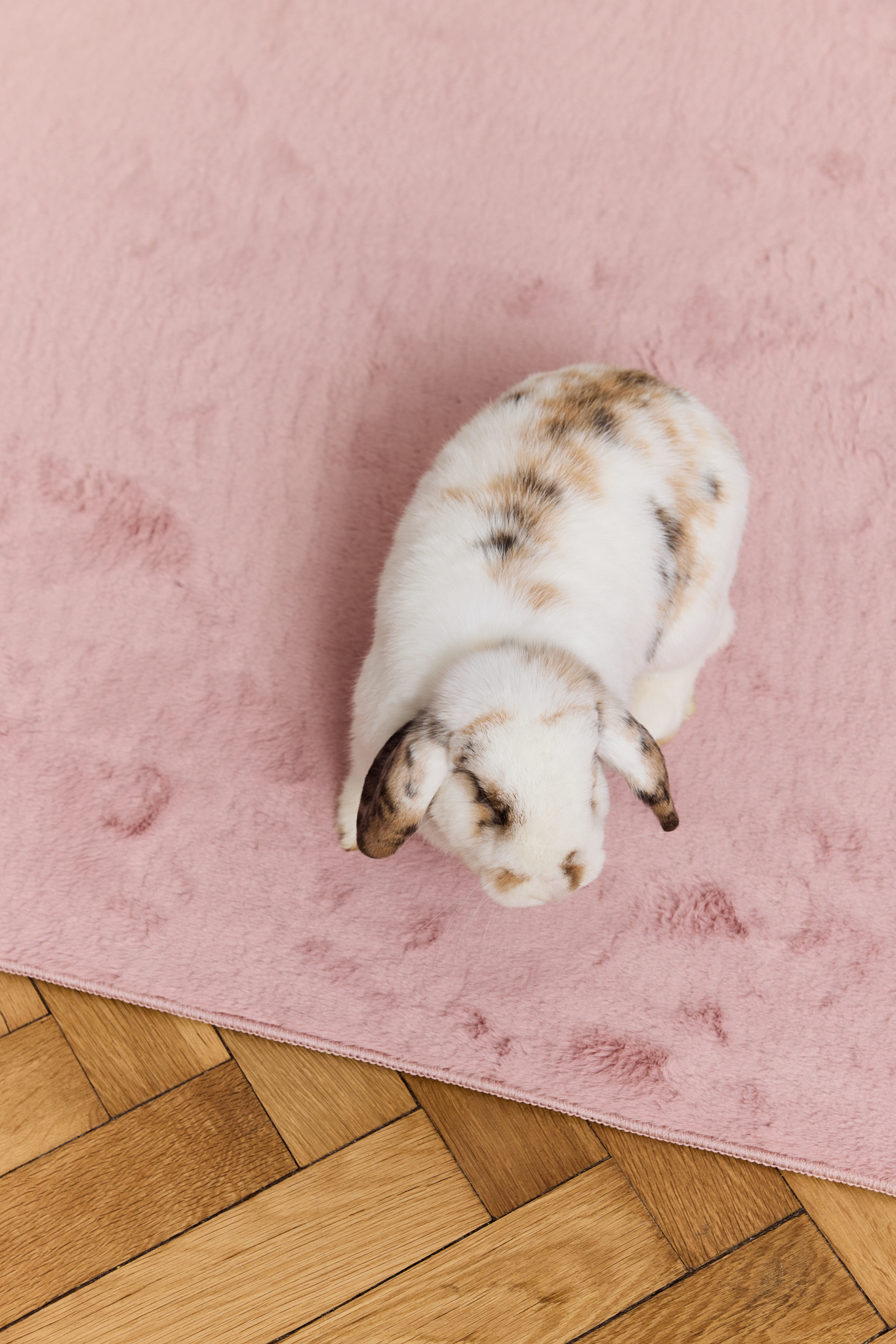 Area Rug Lumi Square Pink Non-Slip