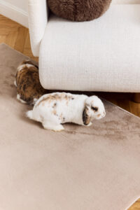 Area Rug Lumi Round Brown Non-Slip