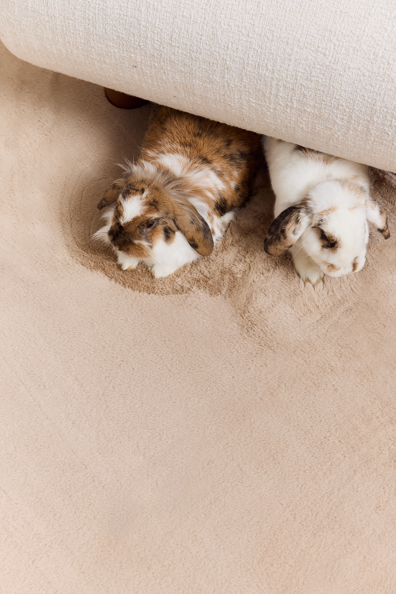 Area Rug Lumi Round Beige Non-Slip